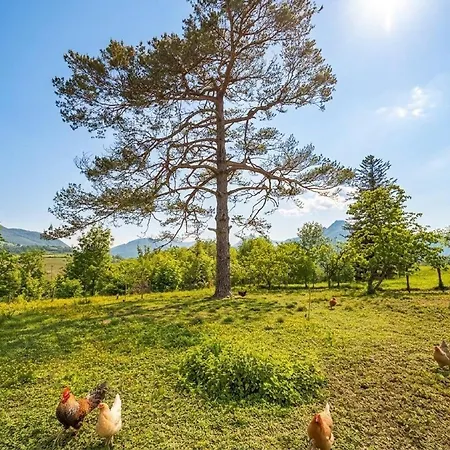 Сasa de vacaciones Chez Escarain Arette